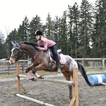 All Tacked Up - In addition to beginners we are happy to help you pursue competition level training. - Horseback Riding Near Me - Spanaway, Washington All Tacked Up - In addition to beginners we are happy to help you pursue competition level training. - Horseback Riding Near Me - Spanaway, Washington