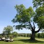 Photo of Racoon Valley Golf Club