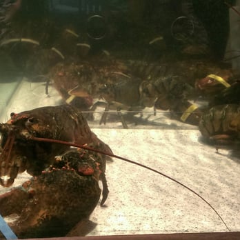 Red Lobster - Lobstahhhh! - Seafood Near Me - San Jose, California Red Lobster - Lobstahhhh! - Seafood Near Me - San Jose, California