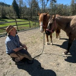 Arean Ellis Farrier Service