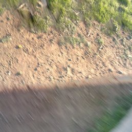 Dirt rocks grass ground