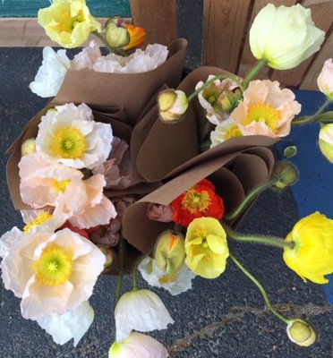Morningside Farmer's Market by null