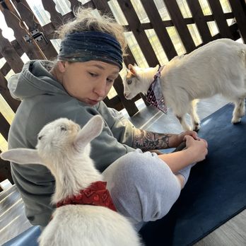 Alaska Farms - Yoga Near Me - Orlando, Florida Alaska Farms - Yoga Near Me - Orlando, Florida
