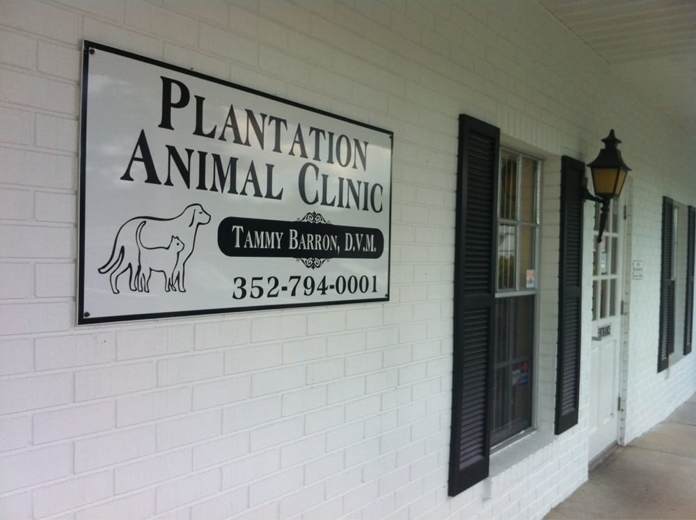 Plantation Animal Clinic Image
