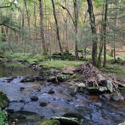 Swibold Trail - Dam