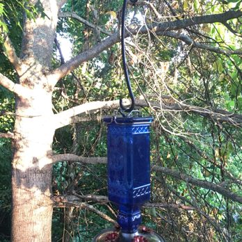 City Drive-In - Burgers Near Me - Spruce Pine, North Carolina City Drive-In - Burgers Near Me - Spruce Pine, North Carolina