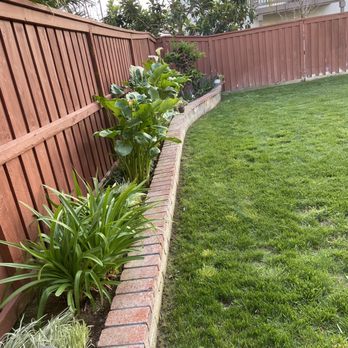 Eder Tree Service and Lawn Maintenance - Tree Services Near Me Eder Tree Service and Lawn Maintenance - Tree Services Near Me
