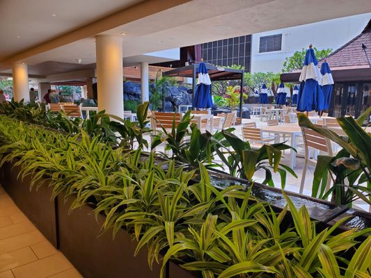 OUTRIGGER Reef Waikiki Beach Resort by null