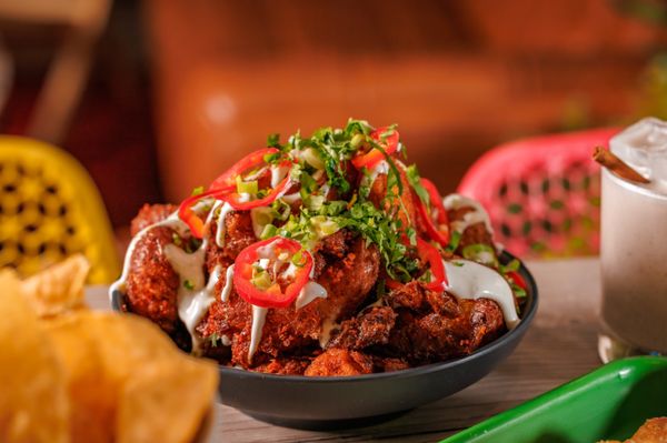 Mister Oso - Wash Park by null