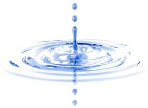 Water Damage Specialists Logo