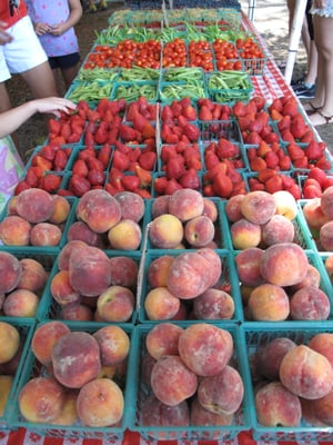 Down to Earth McGolrick Park Farmers Market by null