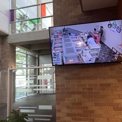 Lewisville Public Library - The camera footage at the entrance, and metal detectors upon arrival