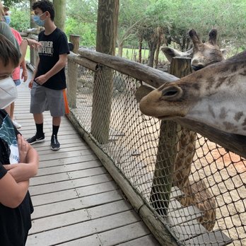 Brevard Zoo - Zoos Near Me - Melbourne, Florida