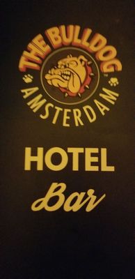 The Bulldog Hotel by null