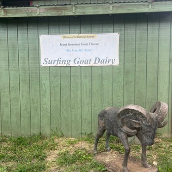 Surfing Goat Dairy - Cheese Shops Near Me - Kula, Hawaii Surfing Goat Dairy - Cheese Shops Near Me - Kula, Hawaii