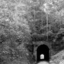 Photo of Dawkins Line Rail Trail