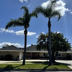 Guardian Angels Homes