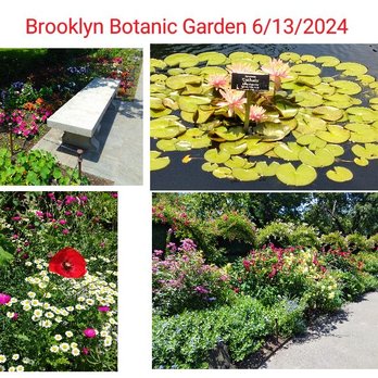 Brooklyn Botanic Garden - The Lily Pool Terrace with more flowers. 6/13/2024 beautiful. - Botanical Gardens Near Me - Brooklyn, New York