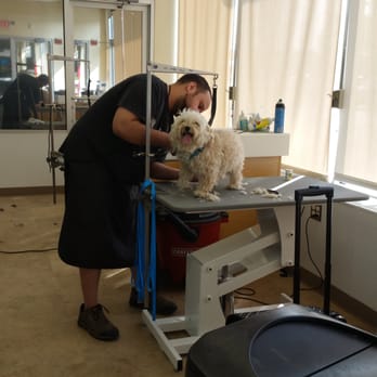 Petco - All smiles - Pet Stores Near Me - Rockville, Maryland Petco - All smiles - Pet Stores Near Me - Rockville, Maryland