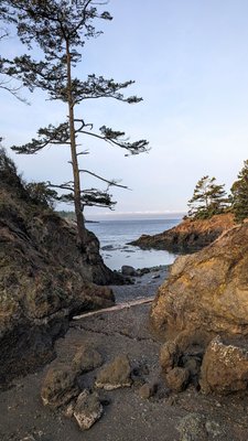 Deception Pass State Park by null