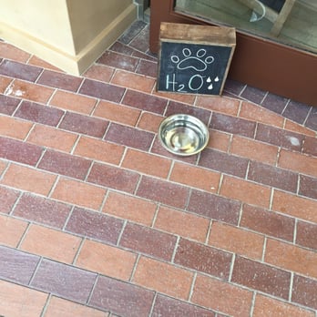 Sun Diego Boardshop - Water for your best friend! - Surf Shop Near Me - San Clemente, California Sun Diego Boardshop - Water for your best friend! - Surf Shop Near Me - San Clemente, California