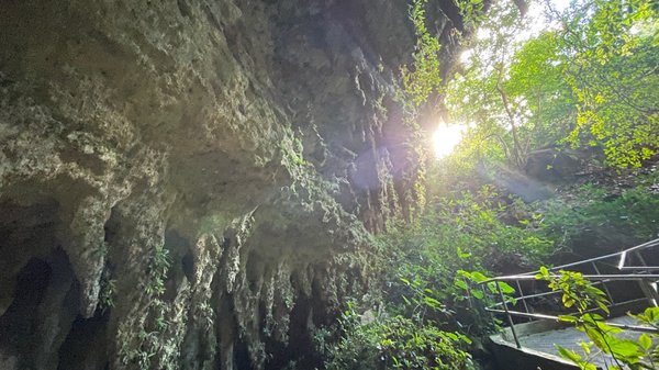 Parque Nacional de las Cavernas del Río Camuy by null