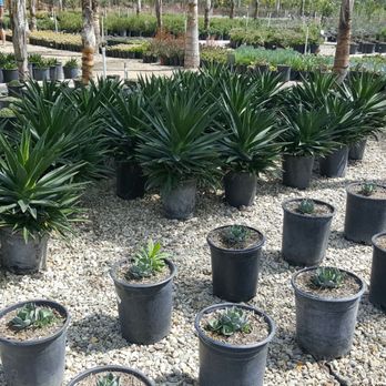 Sterling Gardens Nursery - Nurseries & Gardening Near Me - Simi Valley, California Sterling Gardens Nursery - Nurseries & Gardening Near Me - Simi Valley, California