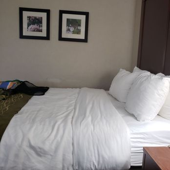 Comfort Inn - Pocono Mountains - Big clean comfortable bed - Hotels Near Me - White Haven, Pennsylvania Comfort Inn - Pocono Mountains - Big clean comfortable bed - Hotels Near Me - White Haven, Pennsylvania