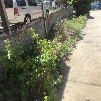 VaceTime - Landscaping Near Me