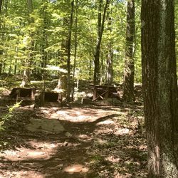 Talcott Reservoir Trail - Couple mountain bike jump ramps. These and others are located along the WeHa Duro trail.