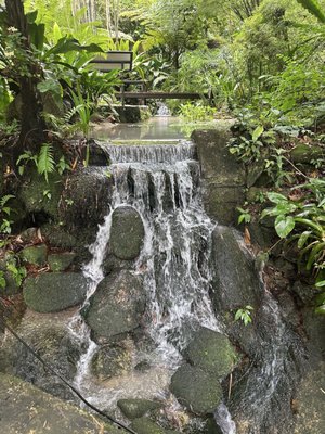 Tropical Spice Garden by null