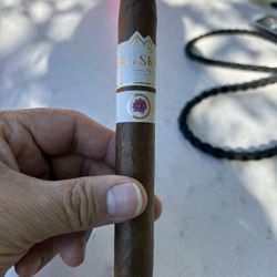 Stogies