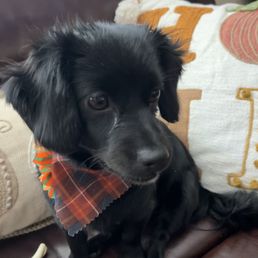 Her first groom!! Her first groom!!