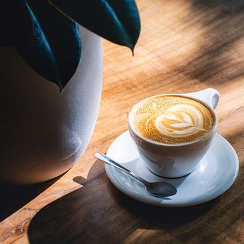 Temple Coffee Roasters - An impeccable cappuccino in the beautiful morning sunlight - Coffee & Tea Near Me - Sacramento, California Temple Coffee Roasters - An impeccable cappuccino in the beautiful morning sunlight - Coffee & Tea Near Me - Sacramento, California