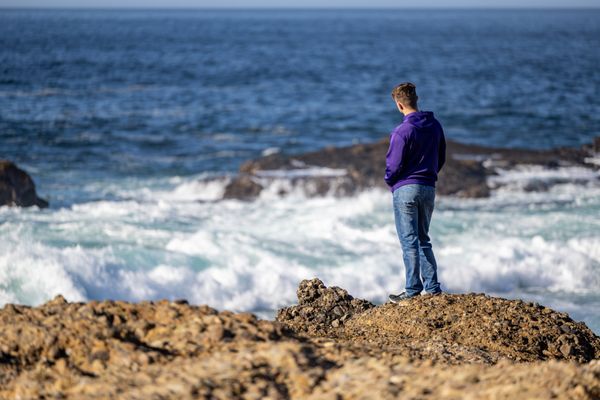 Point Lobos State Natural Reserve by null