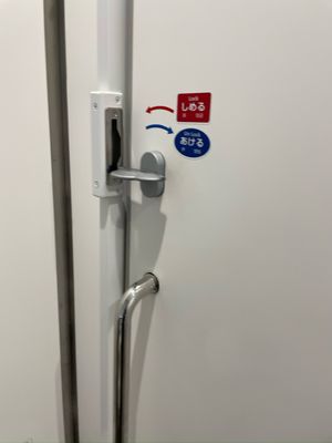 All Nippon Airways by null