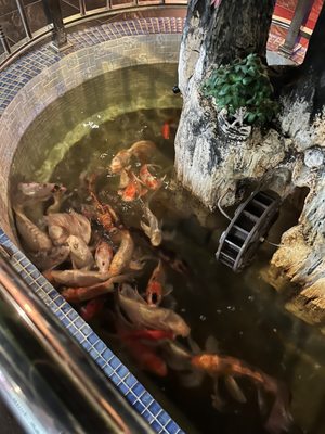 A1 Japanese Steakhouse and Sushi Bar by null