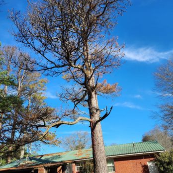 G Solis Tree Services - Tree Services Near Me G Solis Tree Services - Tree Services Near Me