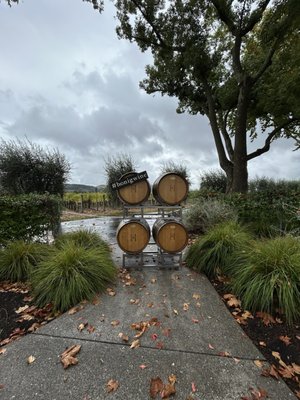 Honig Vineyard & Winery by null