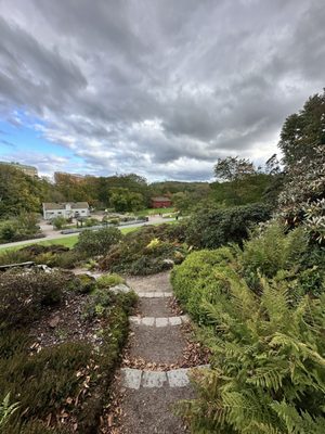 Gothenburg Botanical Garden by null