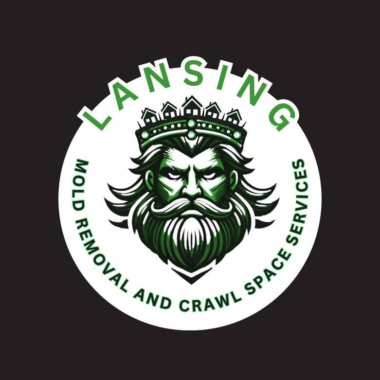 Lansing Mold Removal & Crawl Space Services - mold inspector in Blanchester, OH