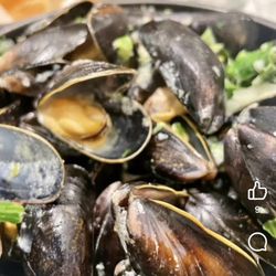 Chez Léon - Mussels with creamy white wine and fresh garlic