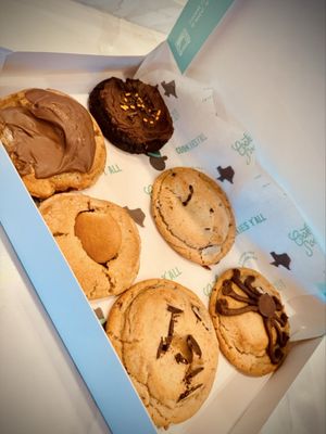 Cookie Society-Addison by null