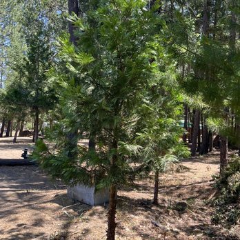 Lone Mountain Resort Camping & RV - Campgrounds Near Me - O Brien, Oregon Lone Mountain Resort Camping & RV - Campgrounds Near Me - O Brien, Oregon
