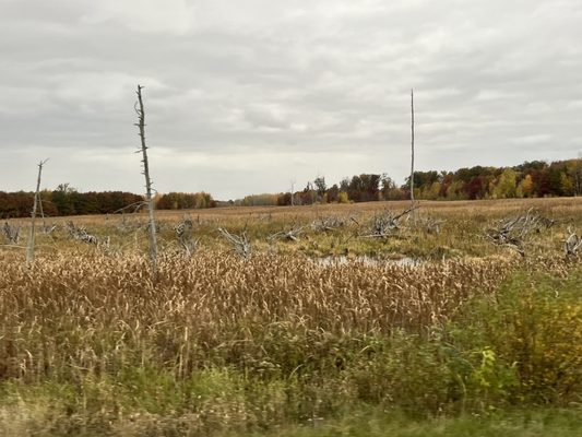 Sherburne National Wildlife Refuge by null