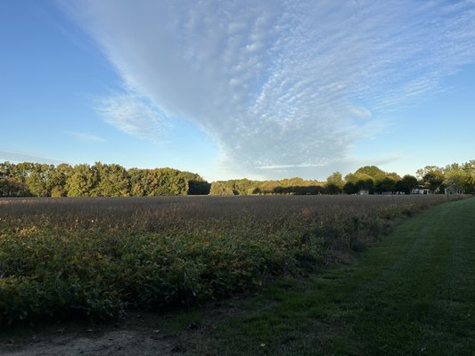 Inn at Huntingfield Creek and Getaway Cottages by null
