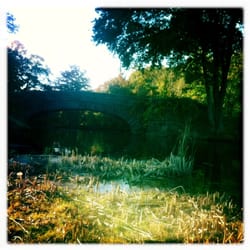 Franklin Park Golf Course - Marshy bridge along the 16/17. Caution: Geese and sprinklers!