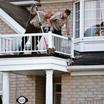 Brilliex Pest Control - Pest Control Near Me - Richmond Hill, Ontario Brilliex Pest Control - Pest Control Near Me - Richmond Hill, Ontario