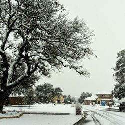 Bell County - Unusual snowy day in Bell County 1.10.21 all day so far