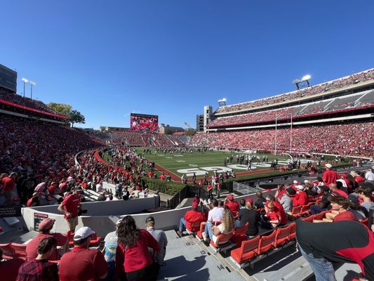 Sanford Stadium by null